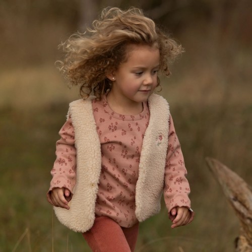 Little dutch